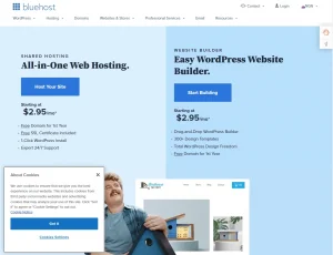 A website to register your domain name - BlueHost