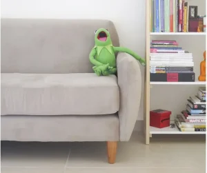 Best images for your website